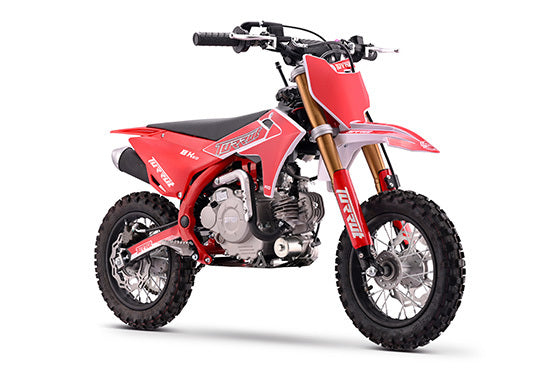 X1 60CC 10/10 view 6