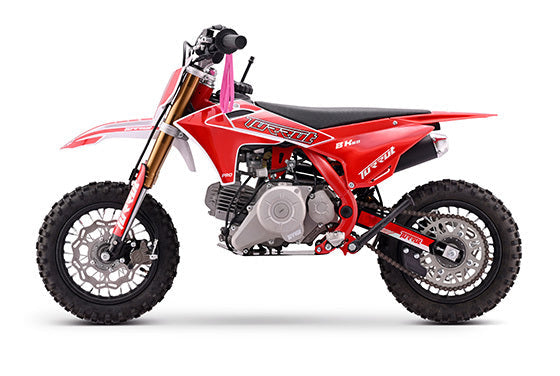 X1 60CC 10/10 view 4