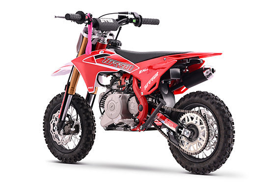 X1 60CC 10/10 view 3